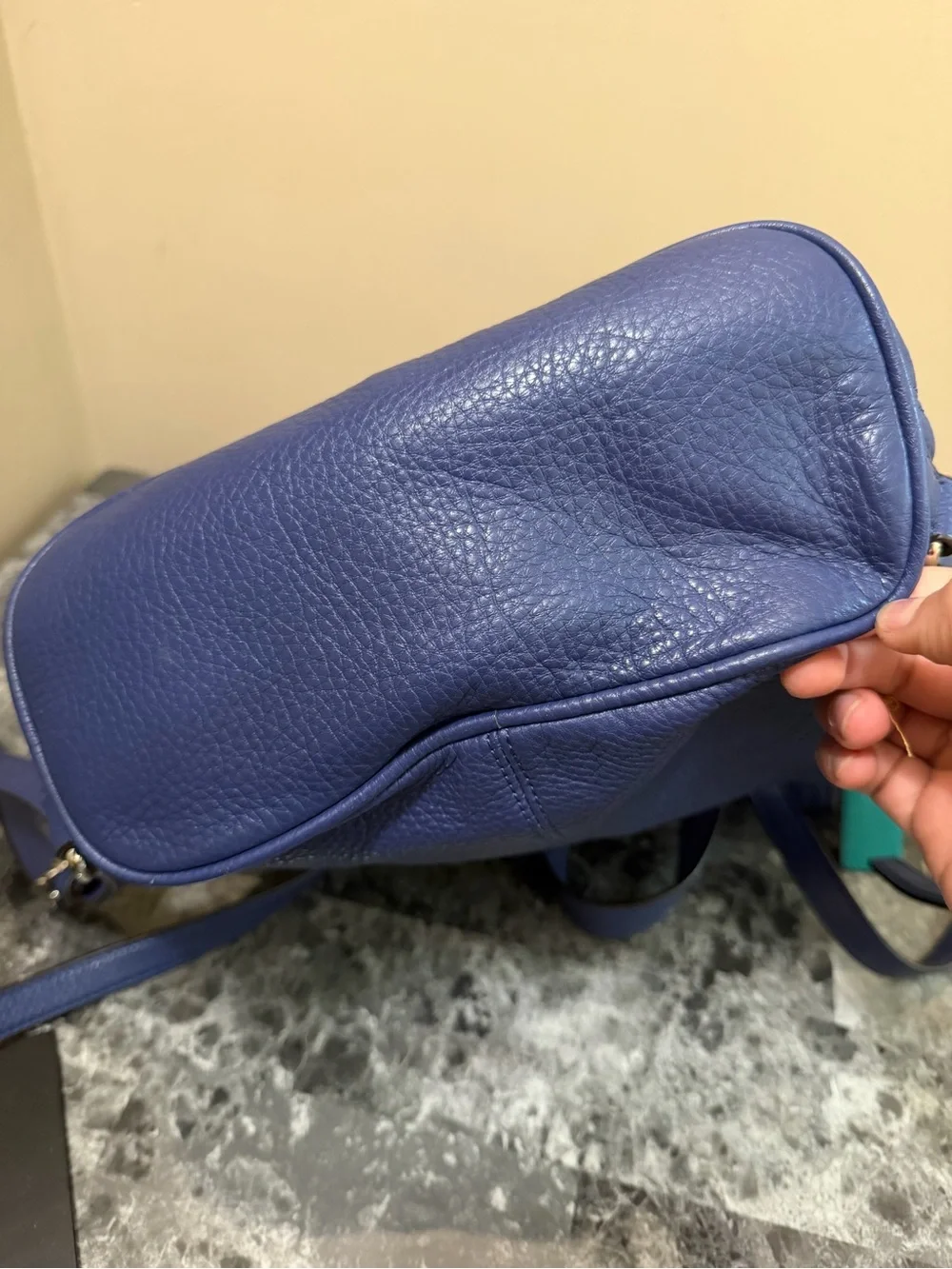 Coach Park Leather Backpack French Blue Royal Teal Lining Mini Shoulder Bag